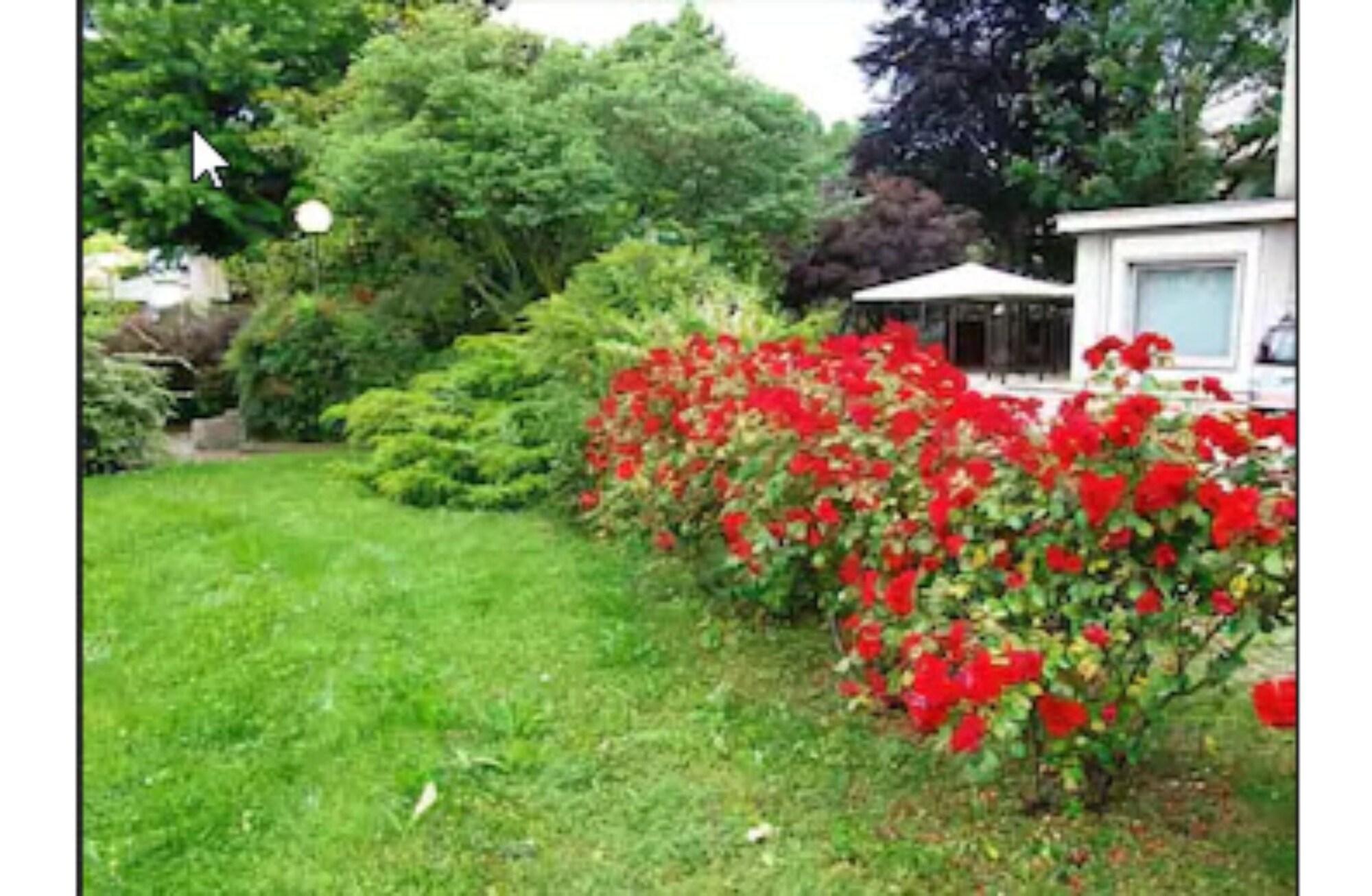 Best Western Park Hotel Continental San Donà di Piave Eksteriør billede